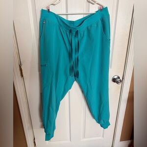 Figs Zamora Pants in Oasis Plus Size